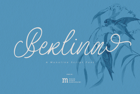 Berlina: The Script Font That Elevates Campaign Visuals