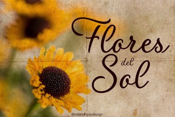 Flores Del Sol: A Script Font for Editorial Elegance