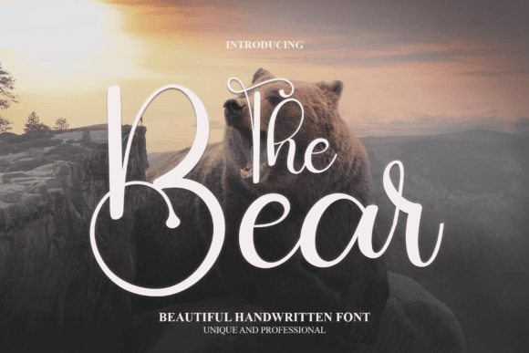 The Bear Font Review: A Web Designer's Take on This Elegant Typeface